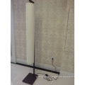 Fashion Design Decorative Home Use Floor Lamp (WGF01/00/003)